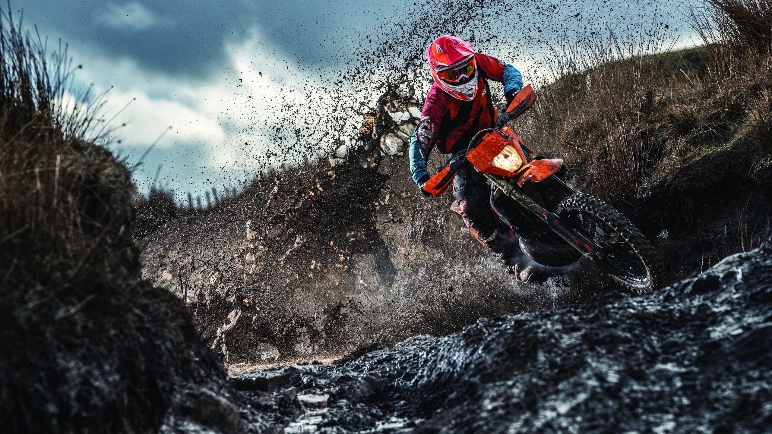 “糖友专属慢跑营”首次集体完成五公里